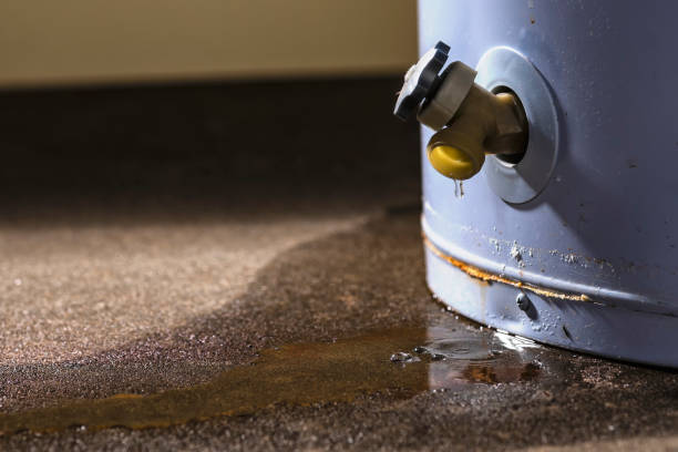 Best Water damage cleanup near me  in Seven Lakes, NC