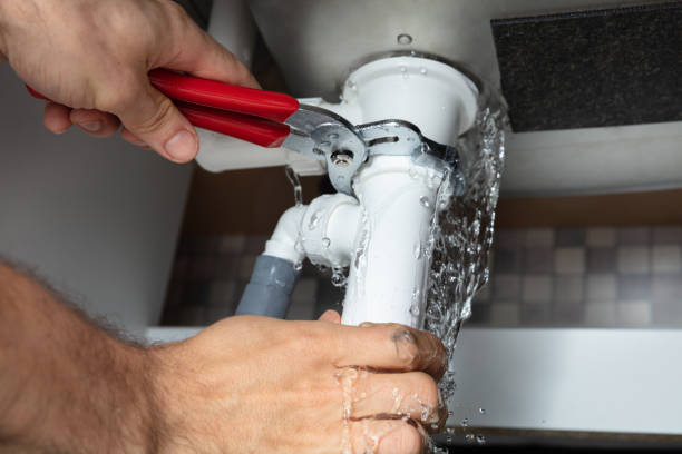 Best Mold removal after water damage  in Seven Lakes, NC