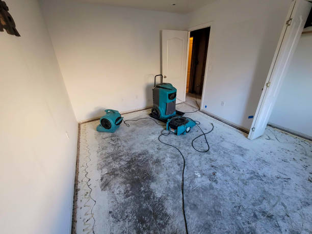 Best 24-hour water damage restoration  in Seven Lakes, NC