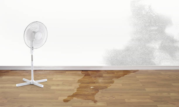 Best Commercial water damage restoration  in Seven Lakes, NC