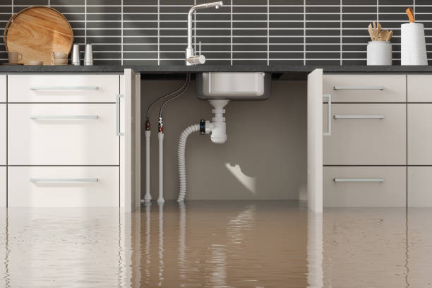 Best Flood damage cleanup  in Seven Lakes, NC