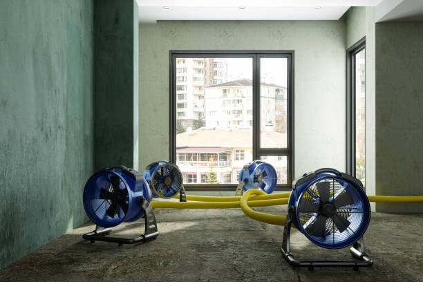 Best Basement water damage restoration  in Seven Lakes, NC